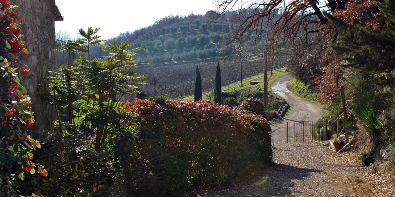 Molino Di Bombi Villa Castellina in Chianti Dış mekan fotoğraf