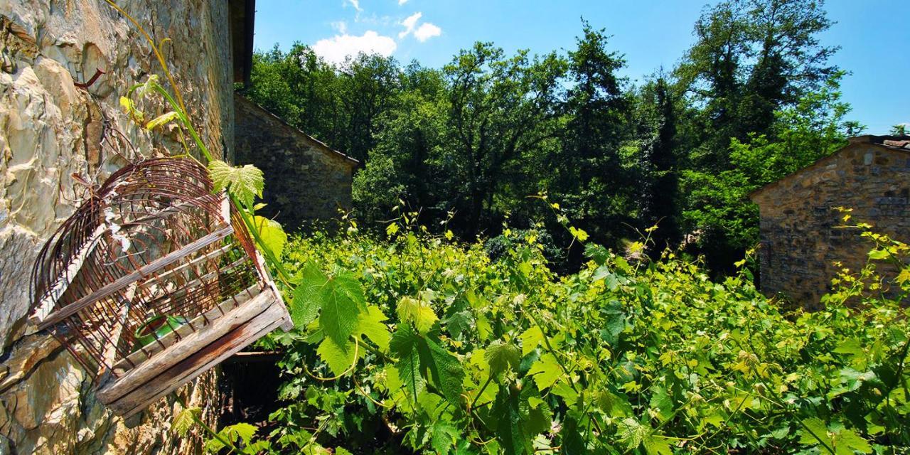 Molino Di Bombi Villa Castellina in Chianti Dış mekan fotoğraf