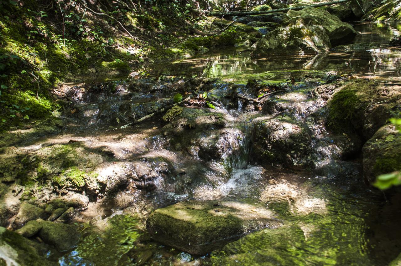 Molino Di Bombi Villa Castellina in Chianti Dış mekan fotoğraf